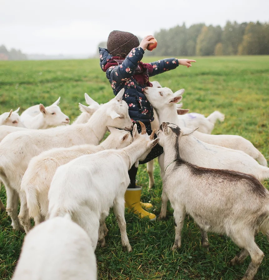 42eb2f66b5774b07ae25f45bb10c31d2