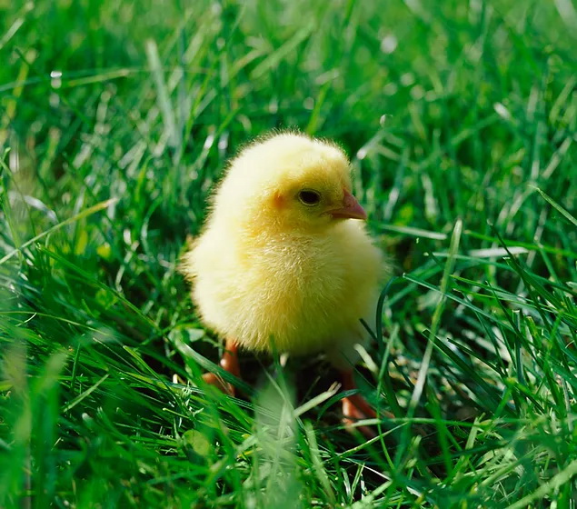 55c46a47a72ecf1d05910ac5c75b45dd