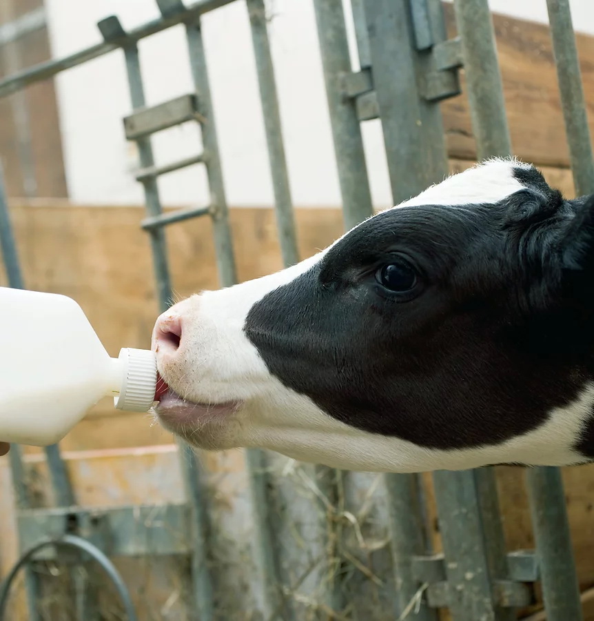 caa27dd2c7d544cb837813918a071859